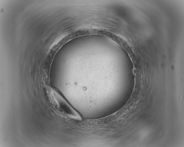 X0000060800871200511141437