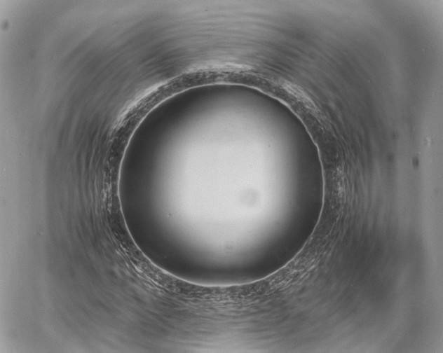 X0000060800872200511141437