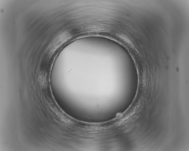 X0000060800873200511141437