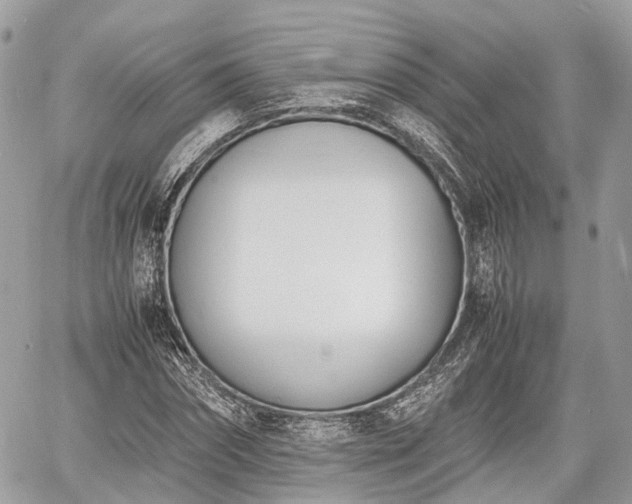 X0000060800874200511141437