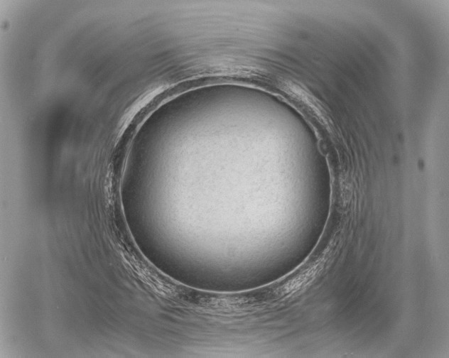 X0000060800875200511141437