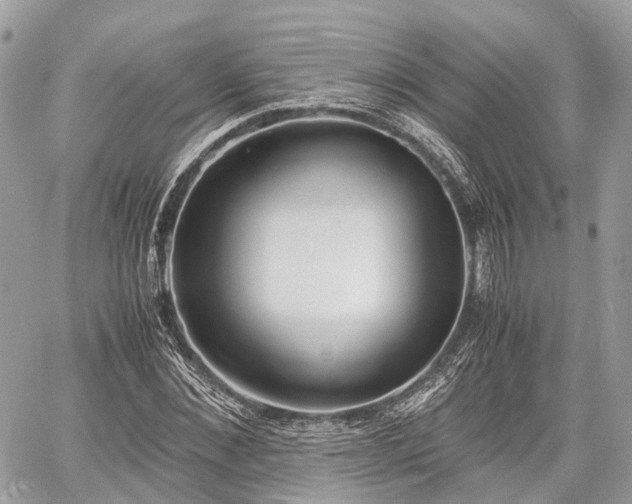 X0000060800876200511141437