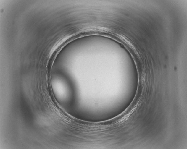 X0000060800877200511141437