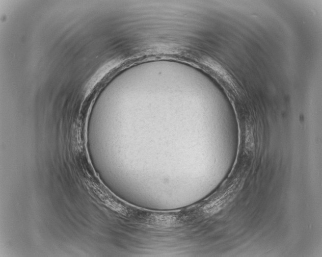 X0000060800878200511141437