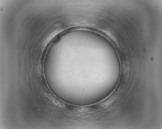 X0000060800879200511141437