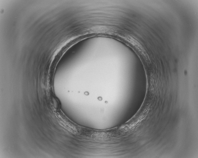 X0000060800880200511141437