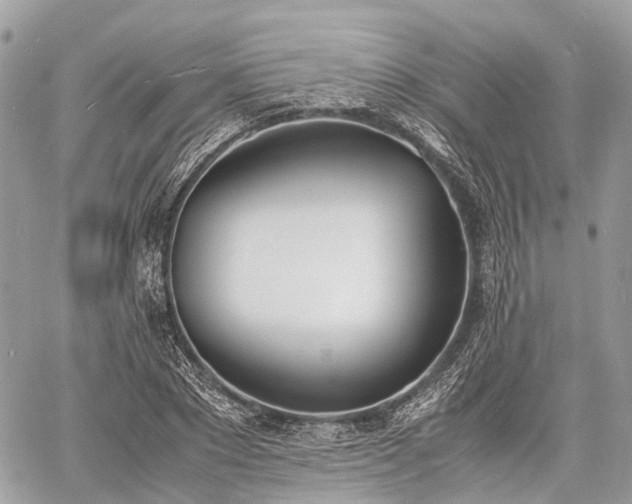 X0000060800881200511141437