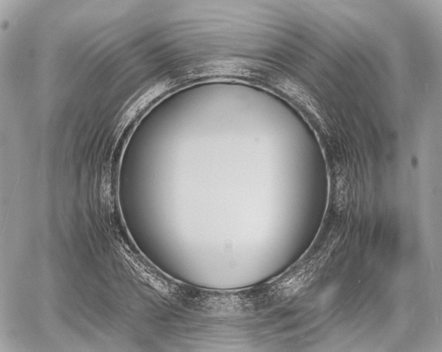 X0000060800882200511141437