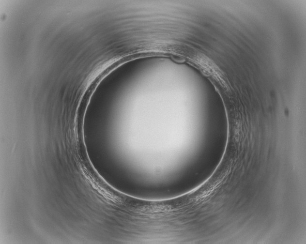 X0000060800884200511141437