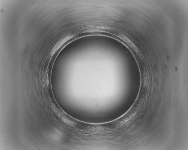 X0000060800885200511141437