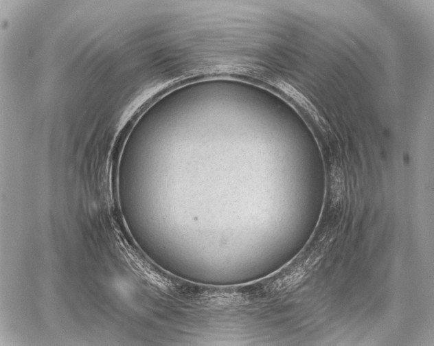 X0000060800886200511141437