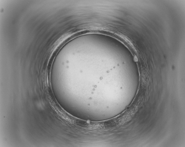 X0000060800887200511141437