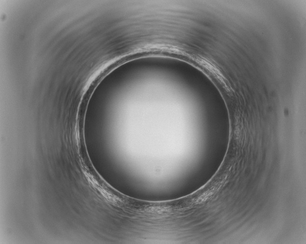 X0000060800888200511141437