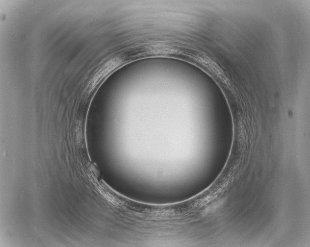 X0000060800889200511141437