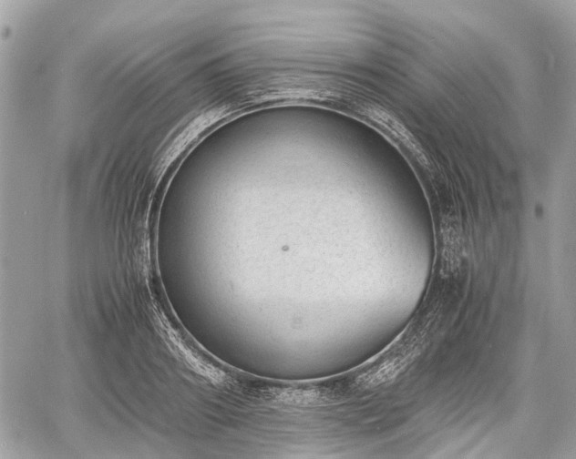 X0000060800890200511141437