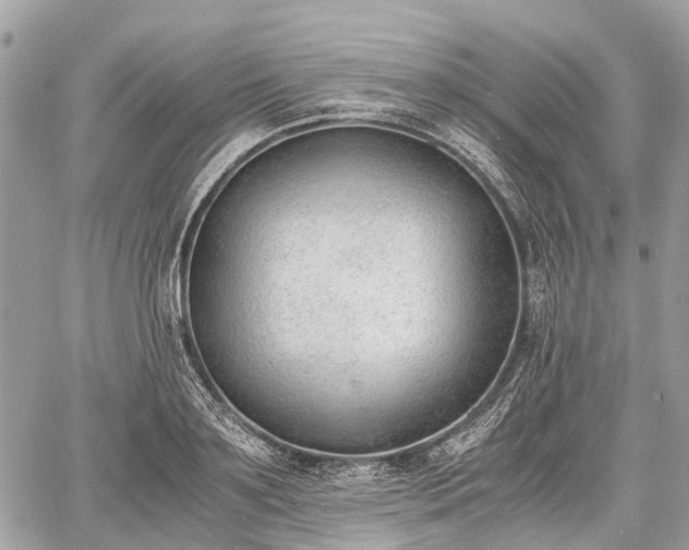 X0000060800891200511141437