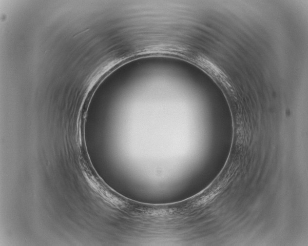 X0000060800892200511141437