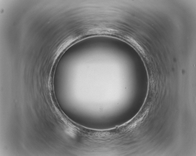 X0000060800893200511141437