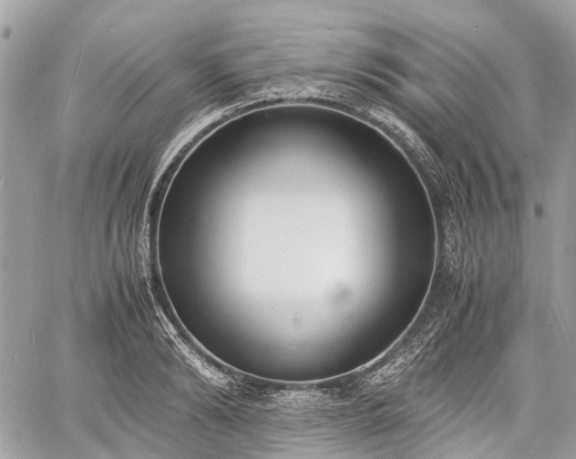 X0000060800894200511141437