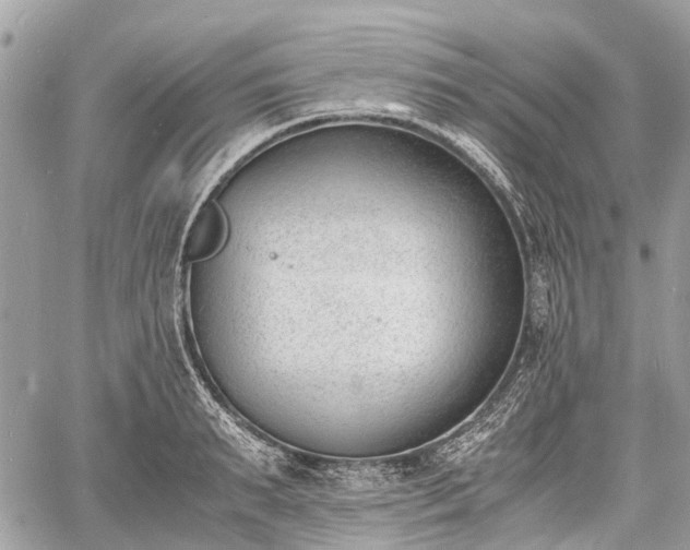 X0000060800895200511141437