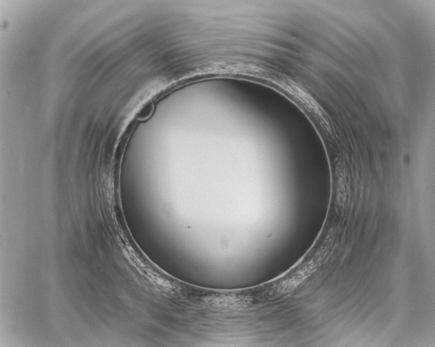 X0000060800896200511141437