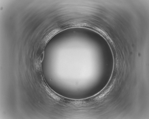 X0000060800897200511141437