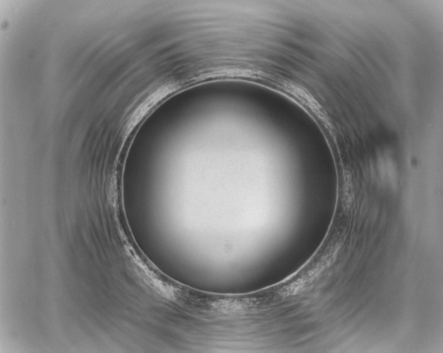 X0000060800898200511141437