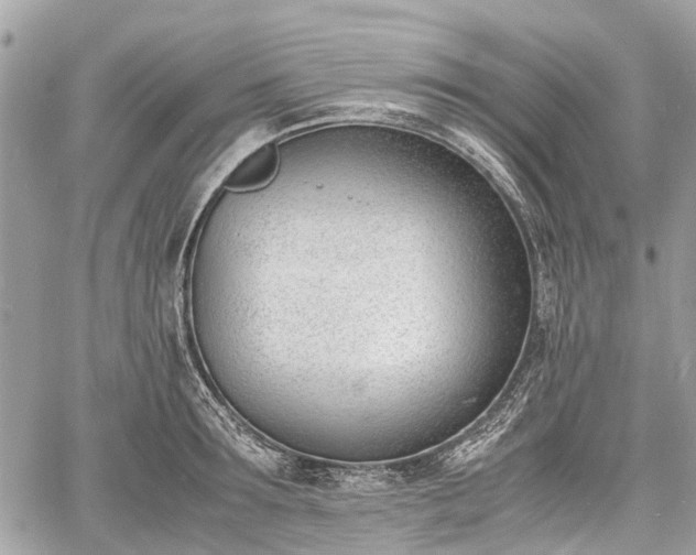 X0000060800899200511141437