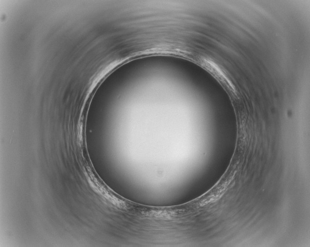 X0000060800900200511141437