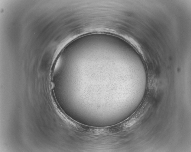 X0000060800903200511141437