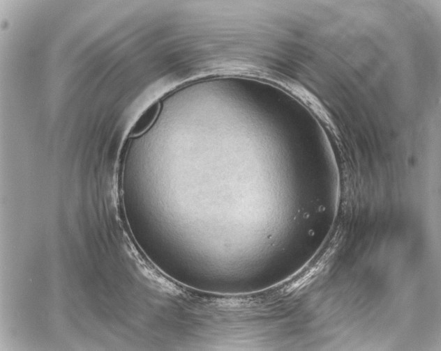 X0000060800904200511141437