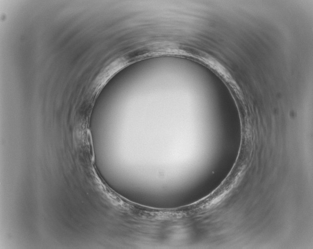 X0000060800905200511141437