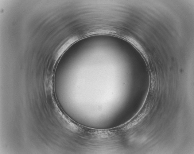 X0000060800906200511141437