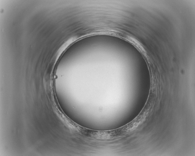 X0000060800907200511141436