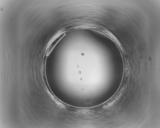 X0000060800909200511141436