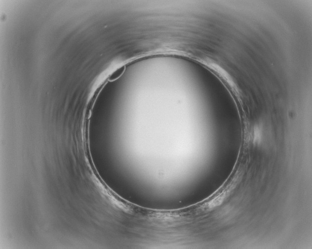 X0000060800910200511141436