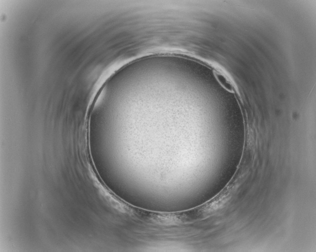 X0000060800911200511141436