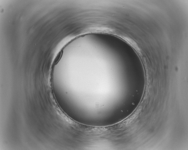 X0000060800912200511141436