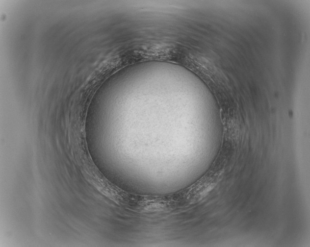 X0000060800913200511141436