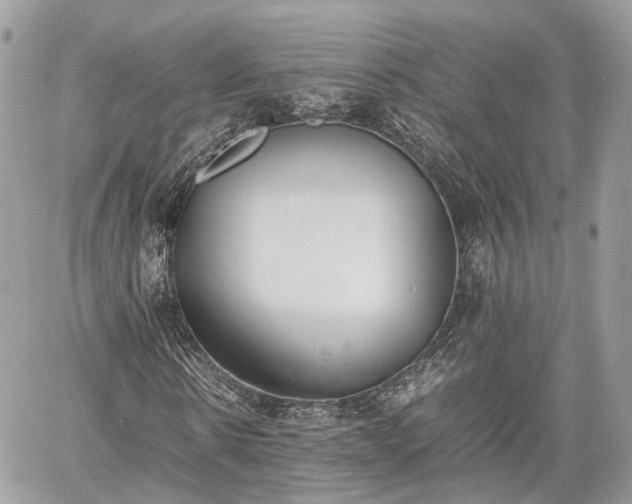 X0000060800914200511141436