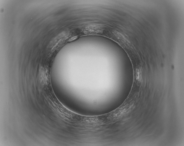 X0000060800915200511141436