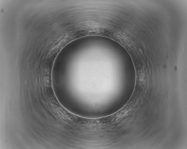 X0000060800916200511141436