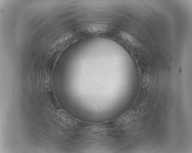 X0000060800917200511141436