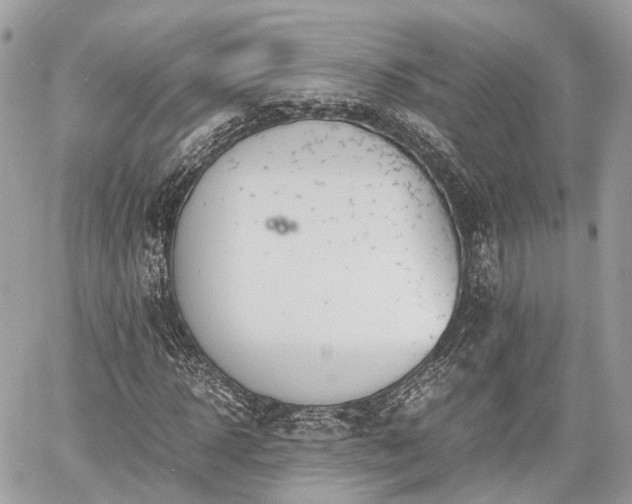 X0000060800918200511141436