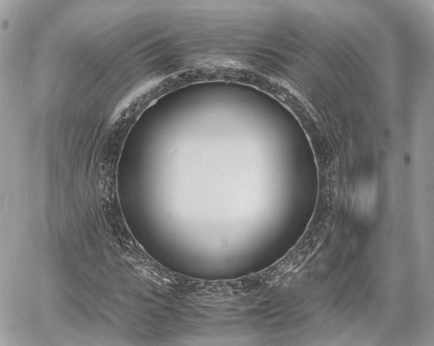 X0000060800919200511141436