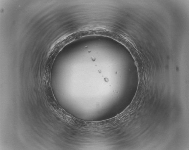 X0000060800920200511141436