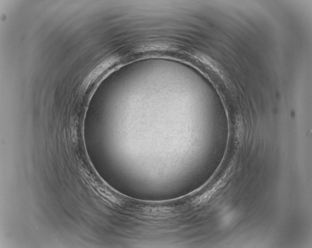 X0000060800921200511141436