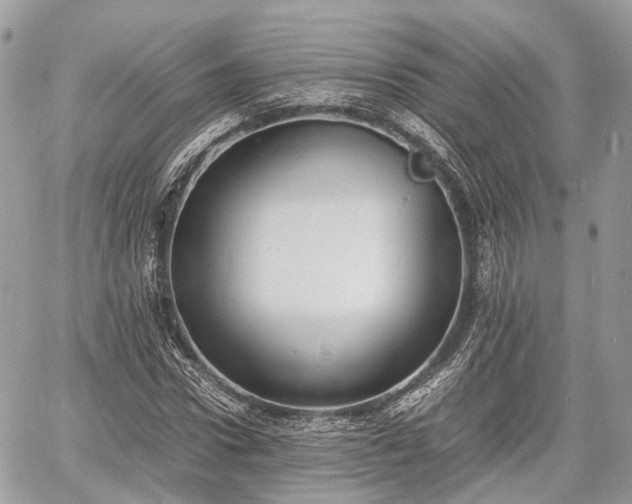 X0000060800922200511141436