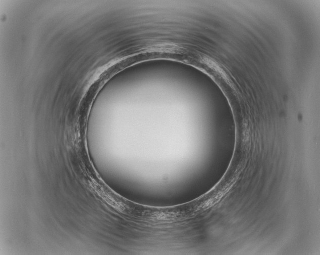 X0000060800923200511141436