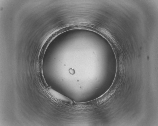 X0000060800924200511141436